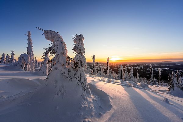 Verschneite Landschaft im Neuschnee im Bayerischen Wald bei Abenddämmerung