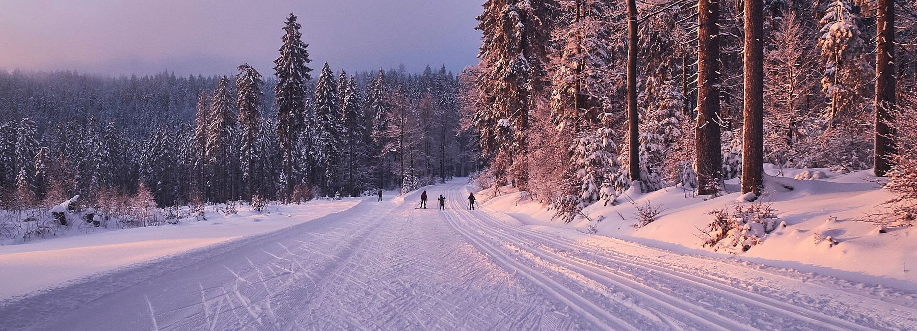 Familie beim Langlaufen auf einer Loipe im Bayerischen Wald in der Abendsonne