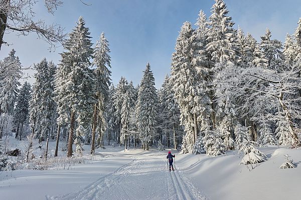 Kind beim Langlaufen auf einer Langlaufloipe im Bayerischen Wald bei Neuschnee 